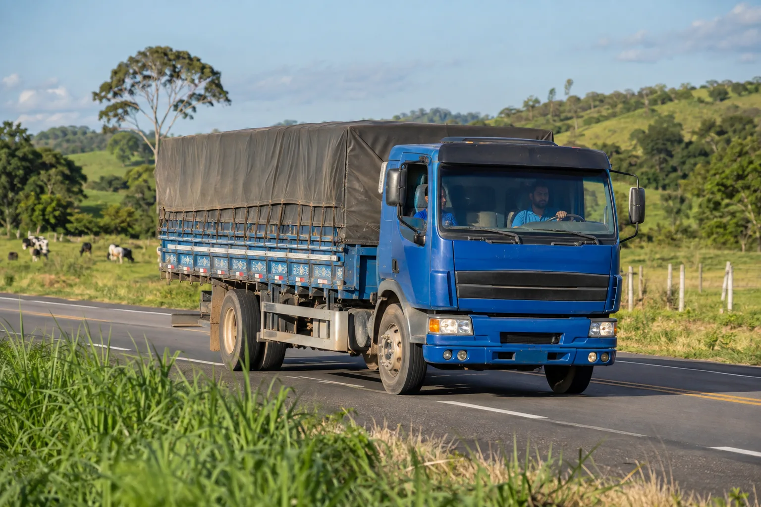 Caminhão de baú azul trafega numa rodovia entre pastos verdes